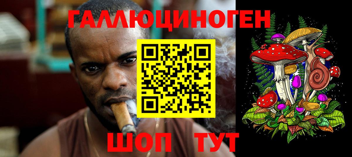 Новороссийск  купить наркотики сайты  Вход с VPN  Галлюциногенные грибы Psilocybine cubensis 